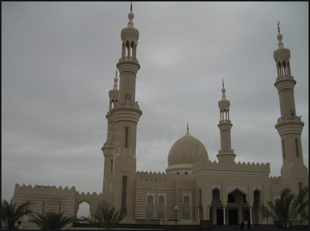 صور من ابداع اعضاء عمان فوتو