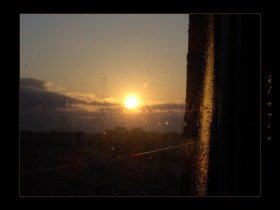صور منوعة من الإنترنت