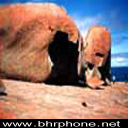 bhrphone_net-_8_