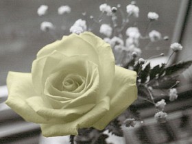 www_6-ef_com_1413bb4f38