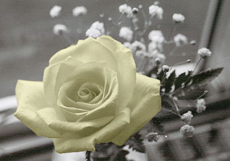 www_6-ef_com_1413bb4f38