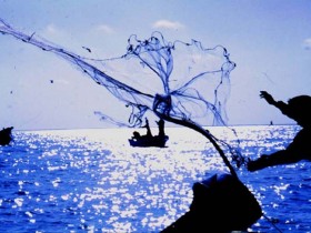 صور من ابداع اعضاء عمان فوتو