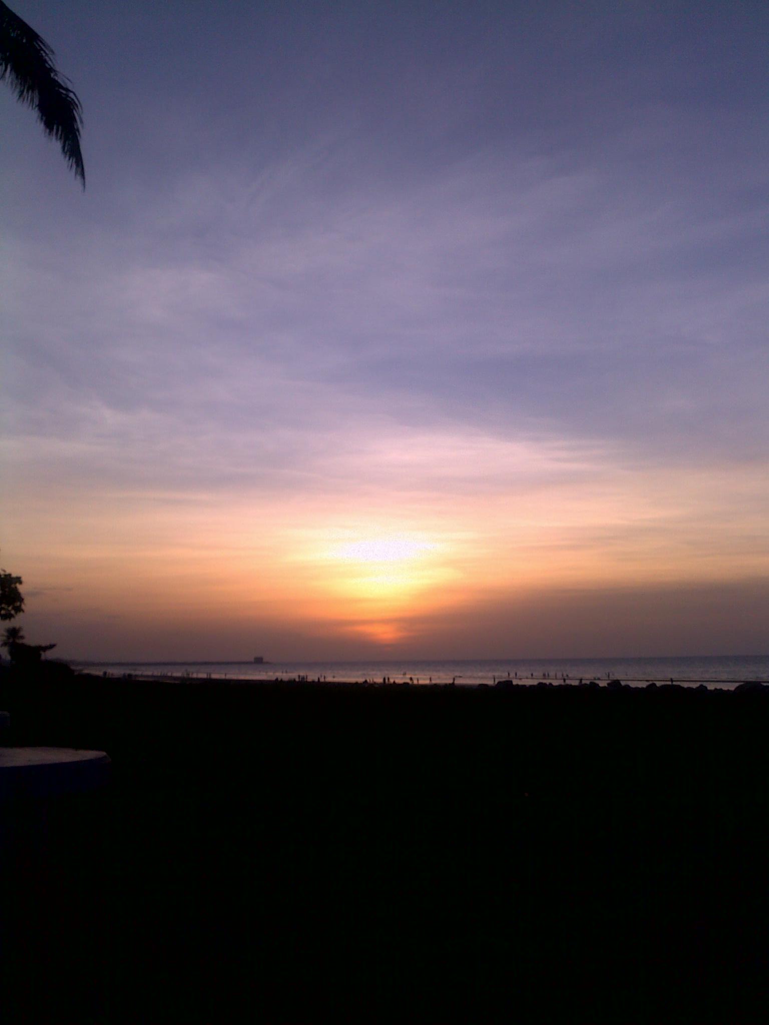 20100911294