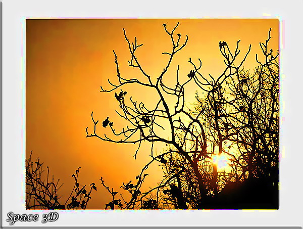 صور من ابداع اعضاء عمان فوتو