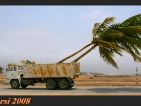 صور من ابداع اعضاء عمان فوتو