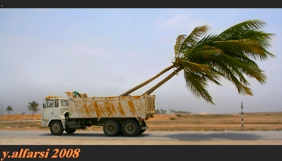 صور من ابداع اعضاء عمان فوتو