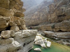 صور من ابداع اعضاء عمان فوتو