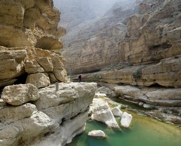 صور من ابداع اعضاء عمان فوتو