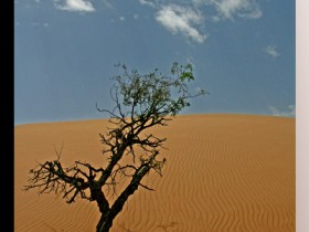 صور من ابداع اعضاء عمان فوتو