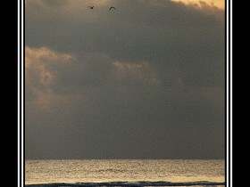 صور من ابداع اعضاء عمان فوتو