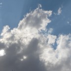 سماء البريمي