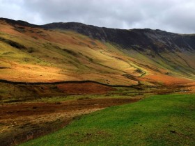 1209379266_21_04_2008_08535890012087_1_