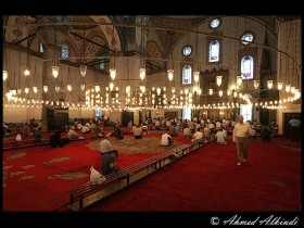 صور من ابداع اعضاء عمان فوتو