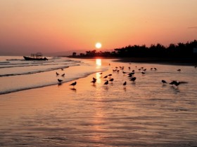 صور من ابداع اعضاء عمان فوتو