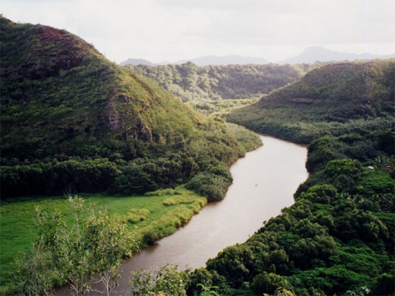 Picture24