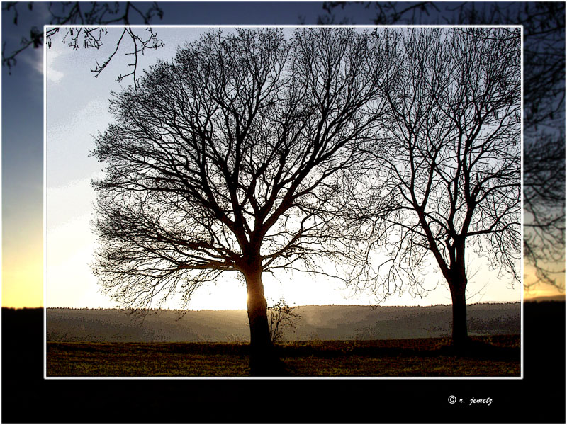 1485083-b155e62bf77c030e_1_