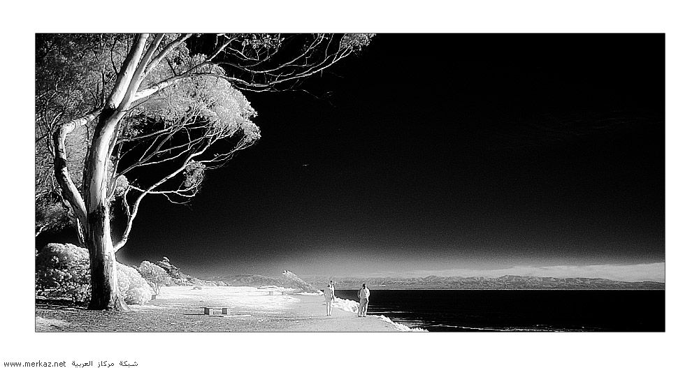 nice_pic_design_photo_95_1_