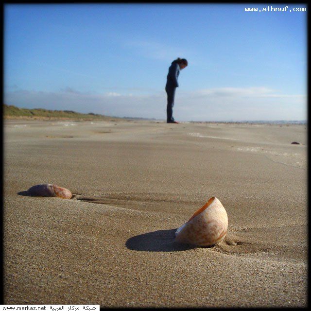 Sea_Ocean_14_1_