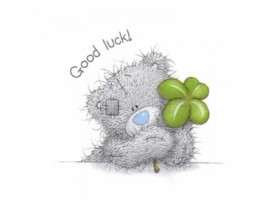 grey-bear-good-luck_1_