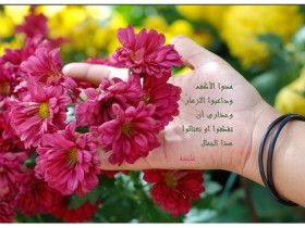 صور من ابداع اعضاء عمان فوتو