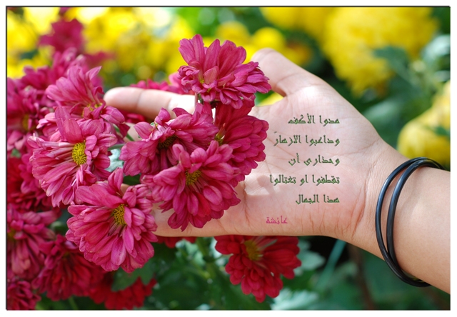 صور من ابداع اعضاء عمان فوتو