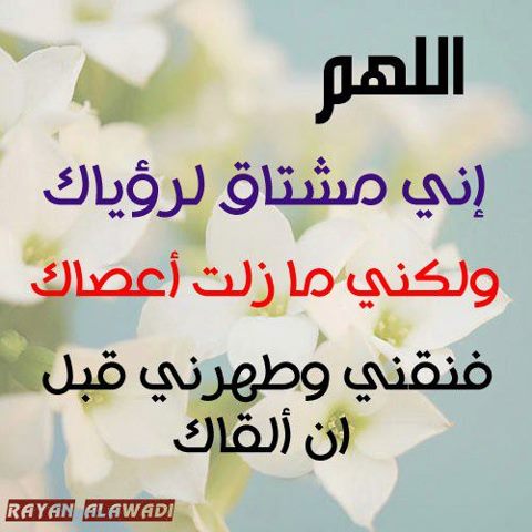 44462_10151479764079939_862627770_n