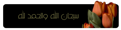 بدون عنوان مؤقتا