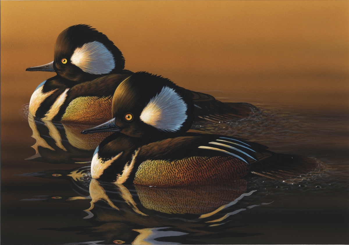 Duck_Stamp_First_copy_2004_1_