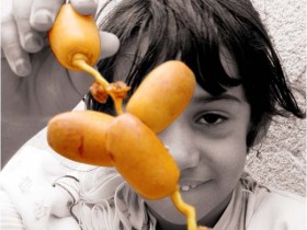صور من ابداع اعضاء عمان فوتو