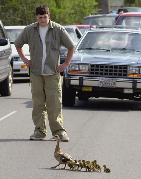 أسبوع المرور