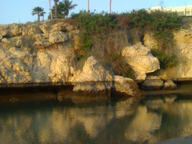 القرم