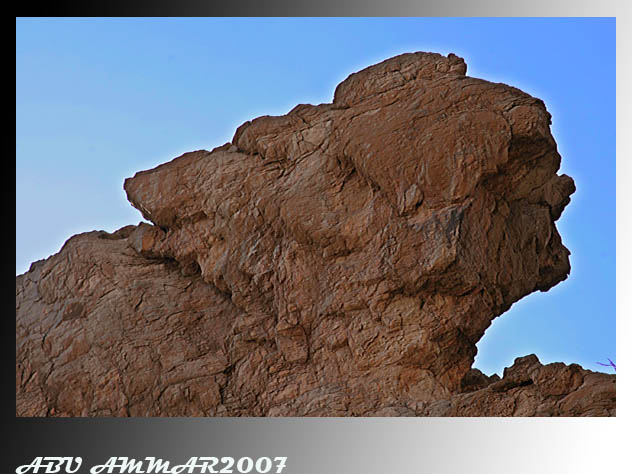 صور من ابداع اعضاء عمان فوتو