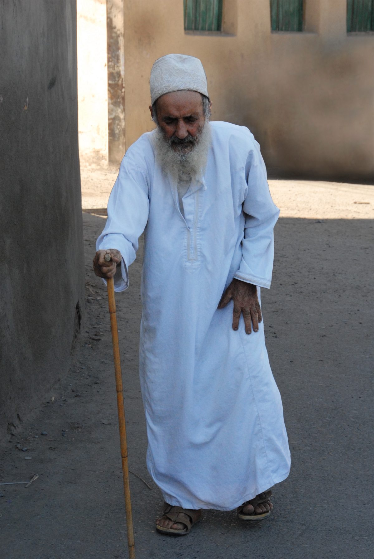 صور من ابداع اعضاء عمان فوتو