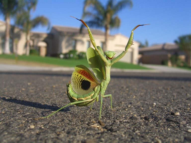 image00122