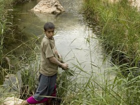 صور من ابداع اعضاء عمان فوتو