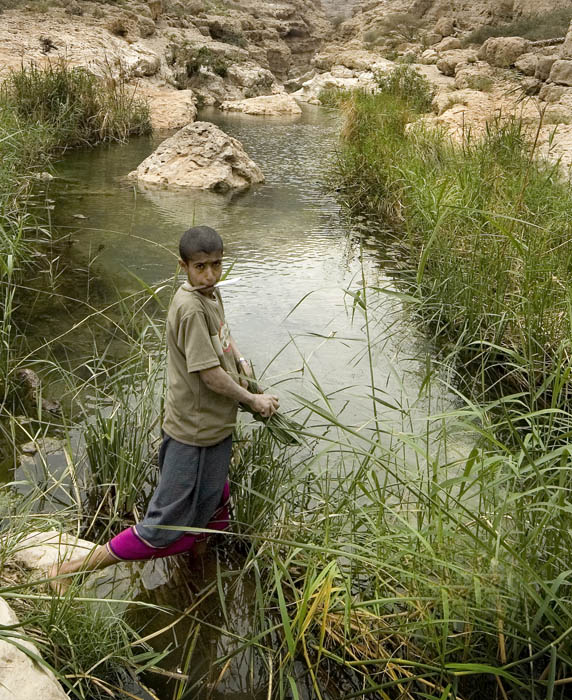 صور من ابداع اعضاء عمان فوتو