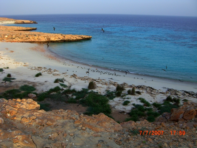 صور من ابداع اعضاء عمان فوتو