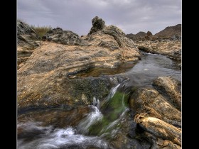 صور من ابداع اعضاء عمان فوتو
