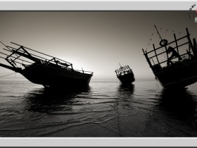 صور من ابداع اعضاء عمان فوتو