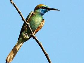 صور من ابداع اعضاء عمان فوتو