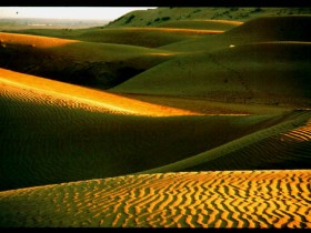 صور من ابداع اعضاء عمان فوتو