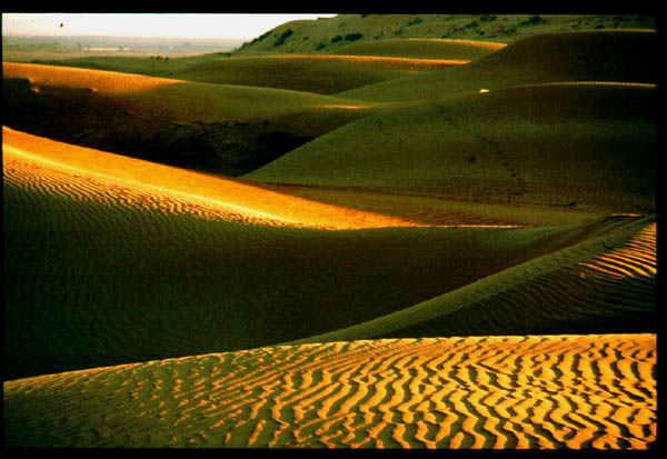 صور من ابداع اعضاء عمان فوتو