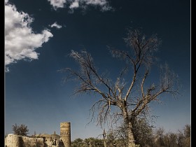 صور من ابداع اعضاء عمان فوتو