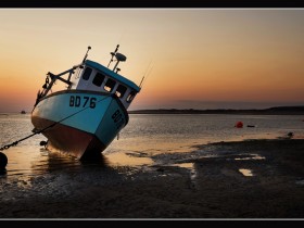 صور منوعة من الإنترنت