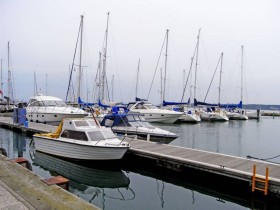 صور منوعة من الإنترنت