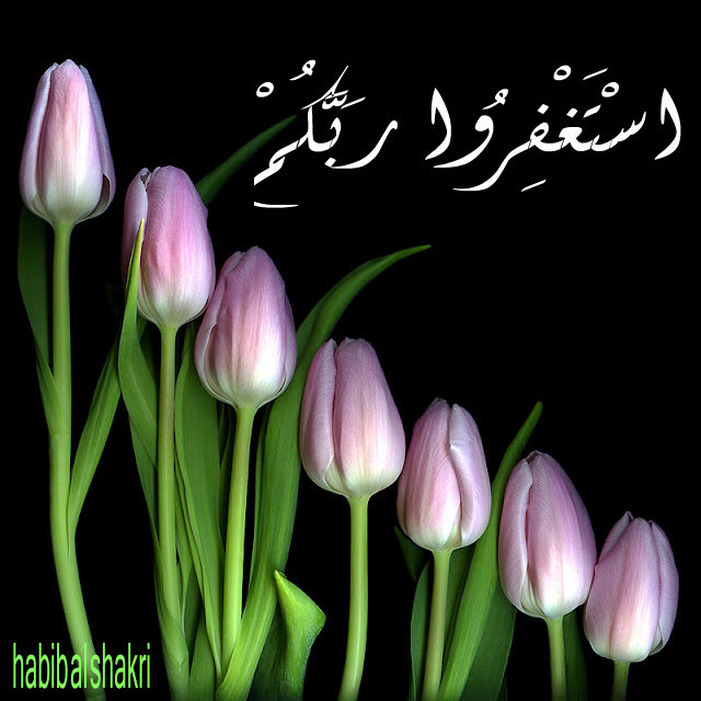 ربكم