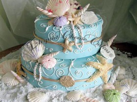 limoges-seashells_1_