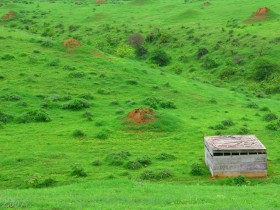 صور من ابداع اعضاء عمان فوتو