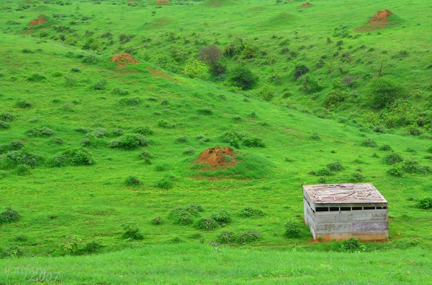 صور من ابداع اعضاء عمان فوتو