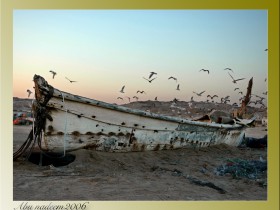صور من ابداع اعضاء عمان فوتو